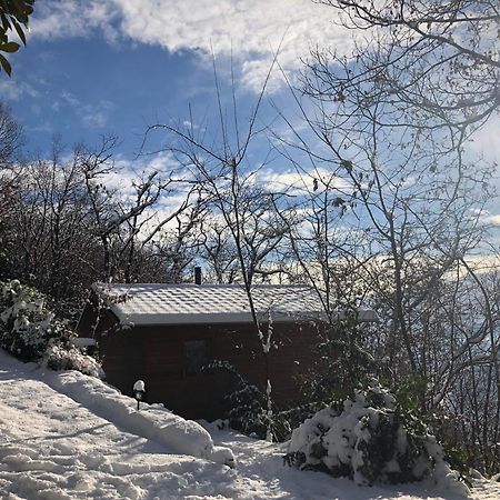 "La Romantica" Rifugio Nel Bosco Astano Exterior foto